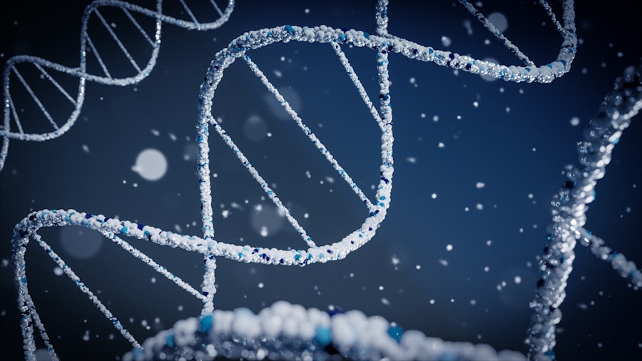 修復細胞與 DNA